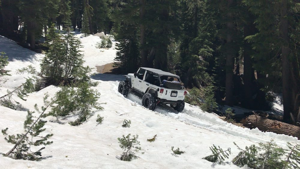 Photo from Strawberry Trail Patrol