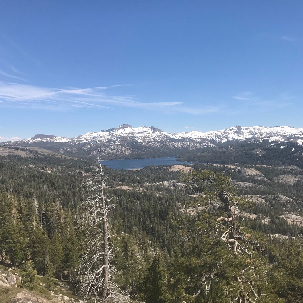 Photo from Strawberry Trail Patrol