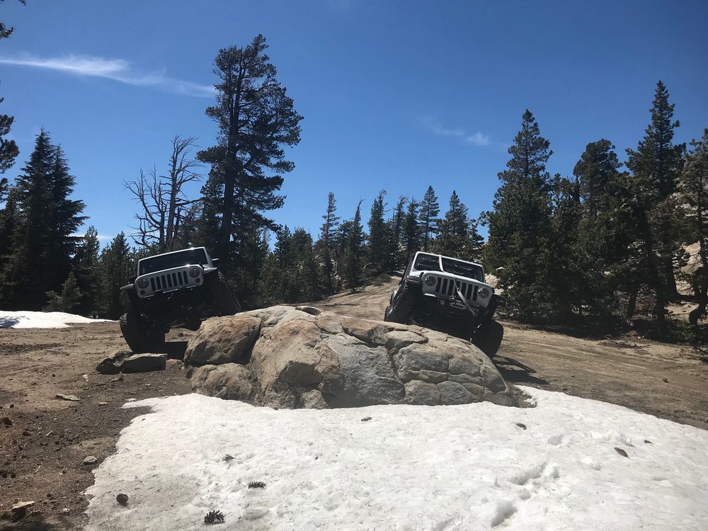 Photo from Strawberry Trail Patrol