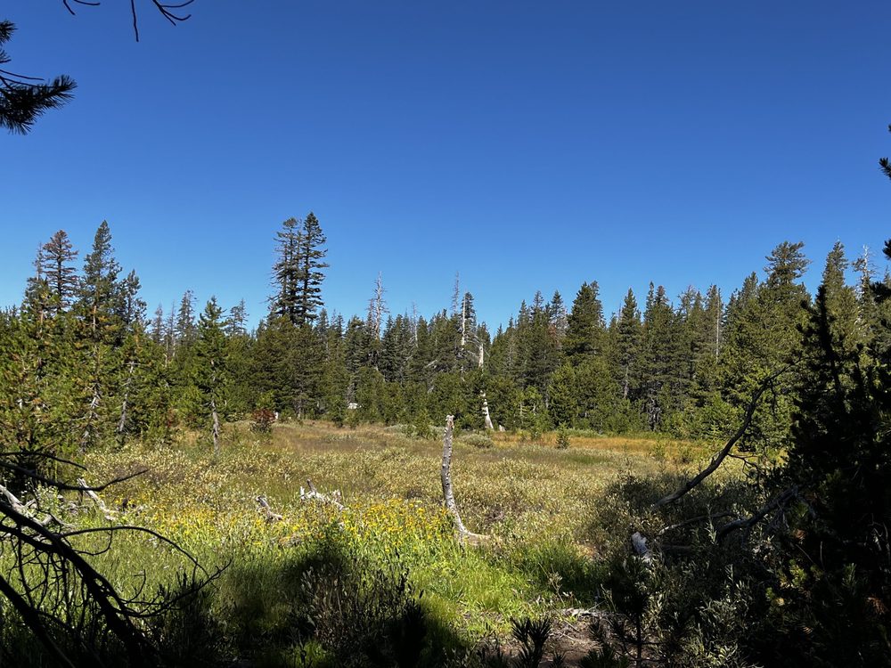 Photo from Barrett Lake Trail