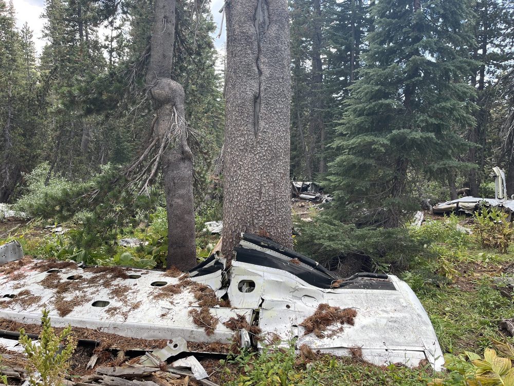 Photo from Barrett Lake Trail