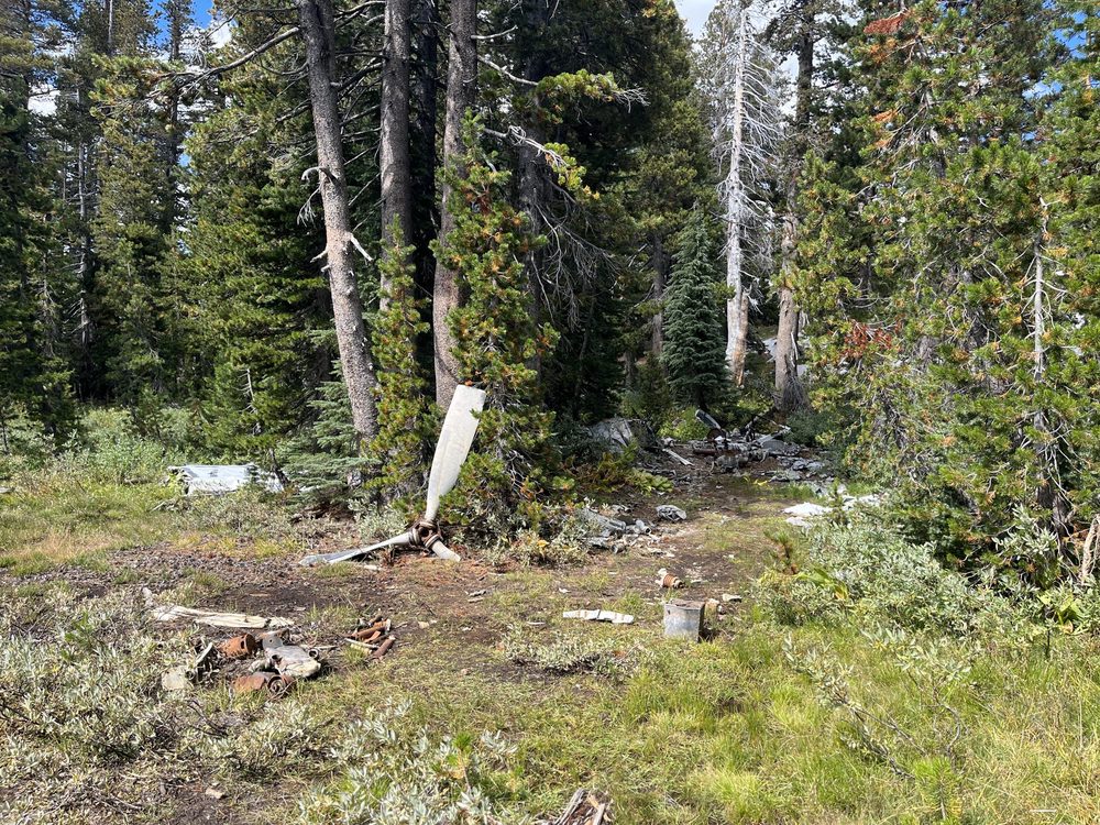 Photo from Barrett Lake Trail