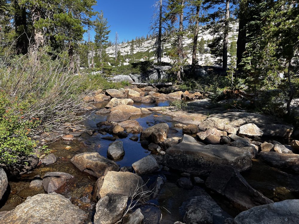 Photo from Barrett Lake Trail