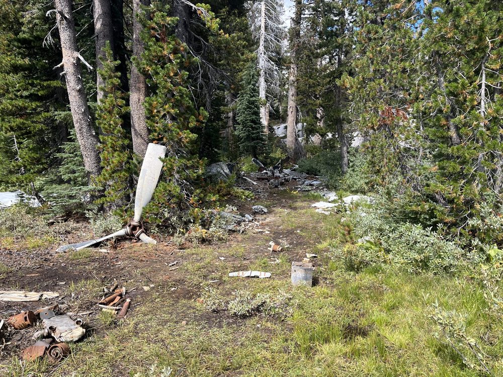 Photo from Barrett Lake Trail