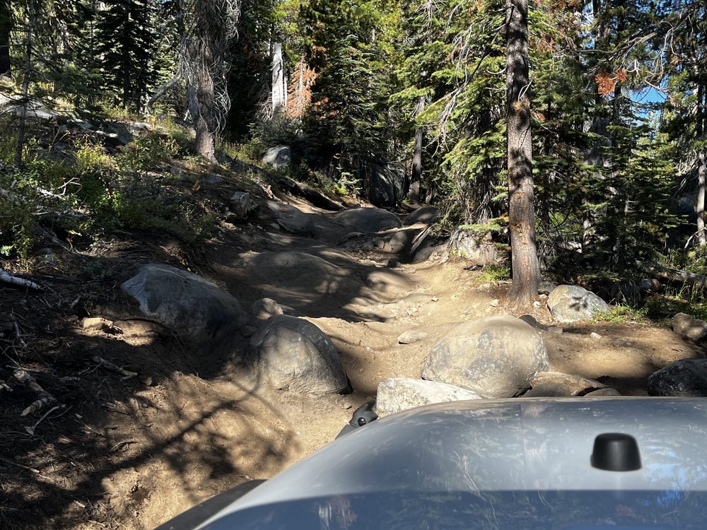 Photo from Barrett Lake Trail