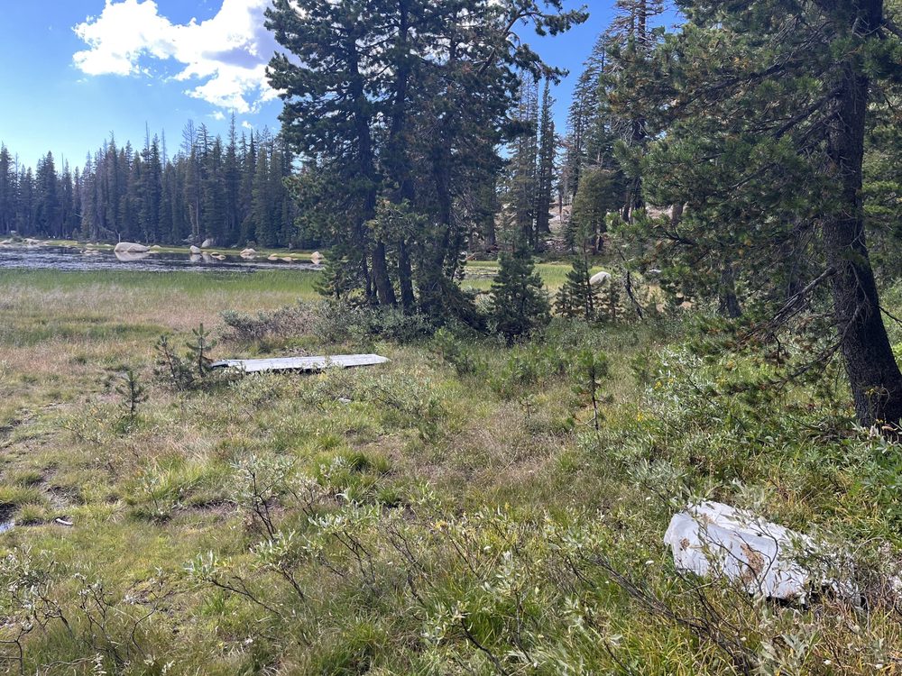 Photo from Barrett Lake Trail