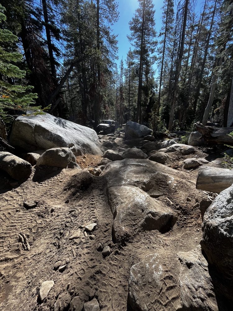 Photo from Barrett Lake Trail