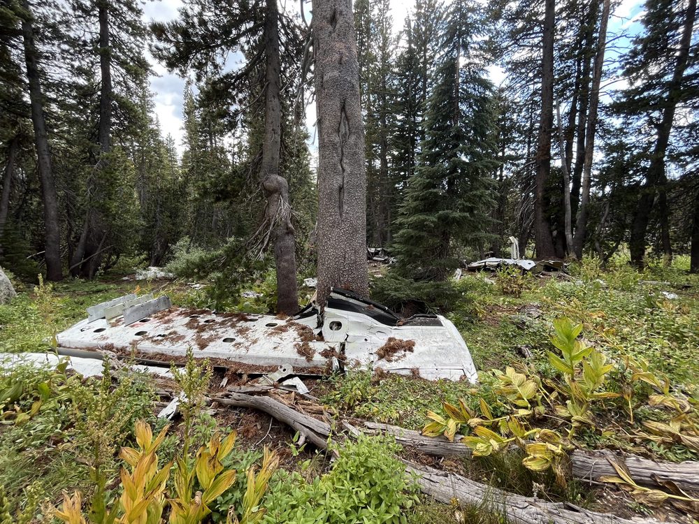 Photo from Barrett Lake Trail