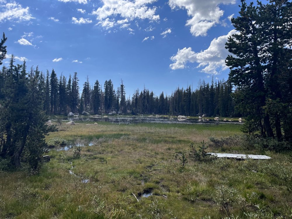 Photo from Barrett Lake Trail