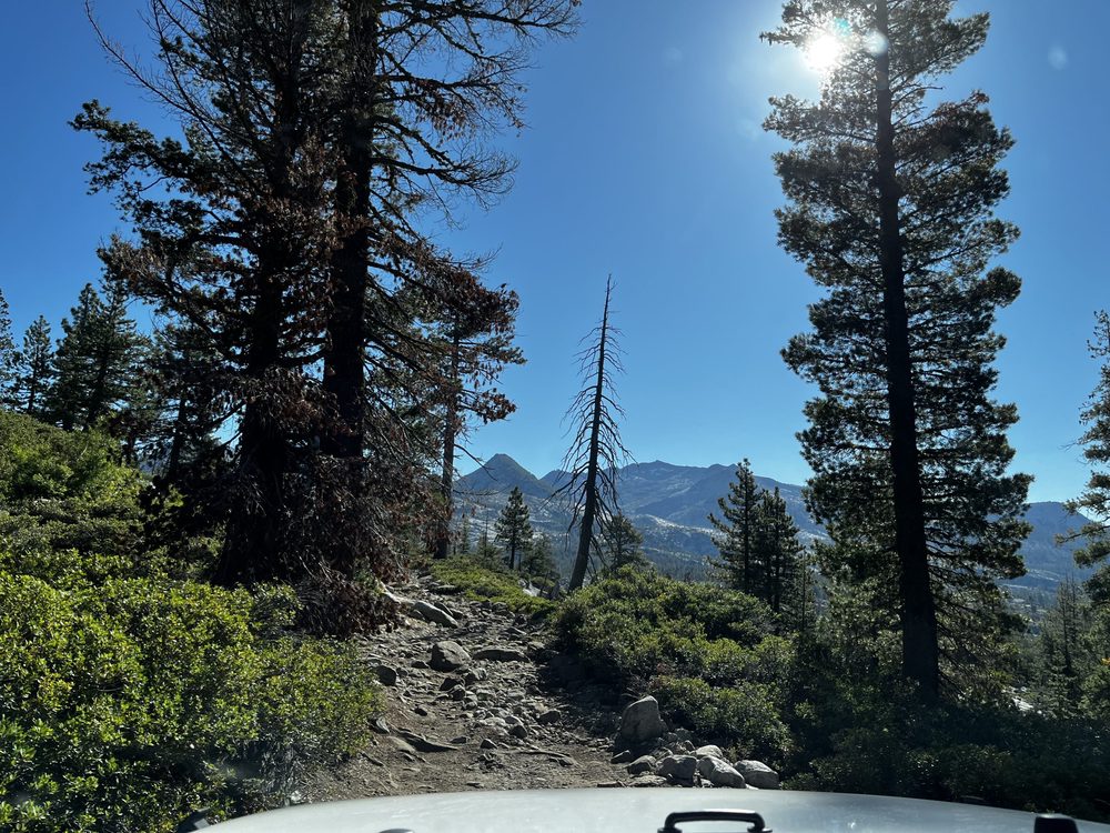 Photo from Barrett Lake Trail
