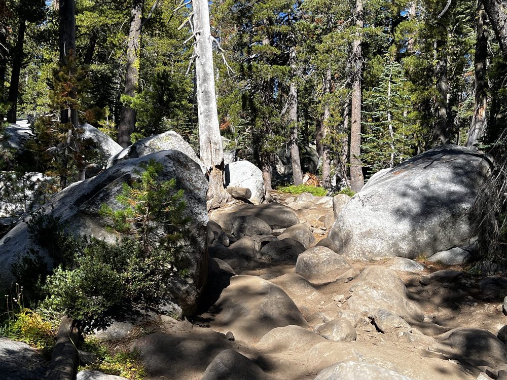 Photo from Barrett Lake Trail