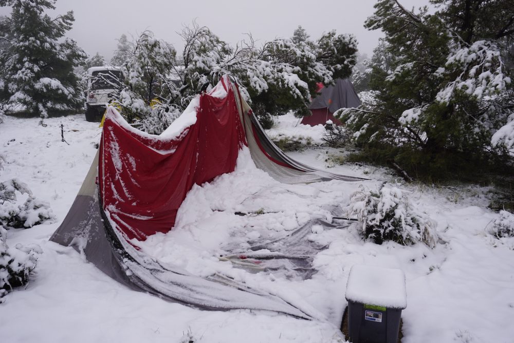Photo from Silver State Expedition