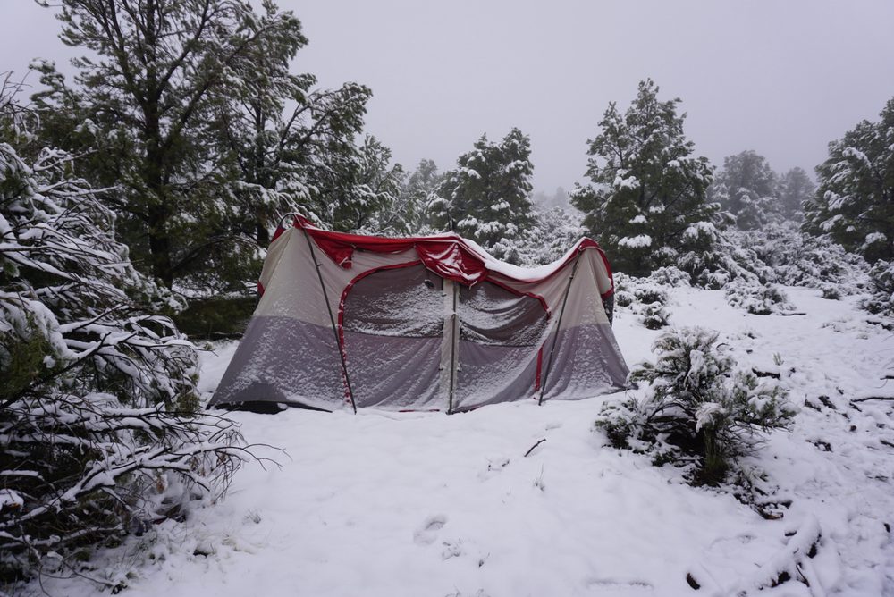 Photo from Silver State Expedition
