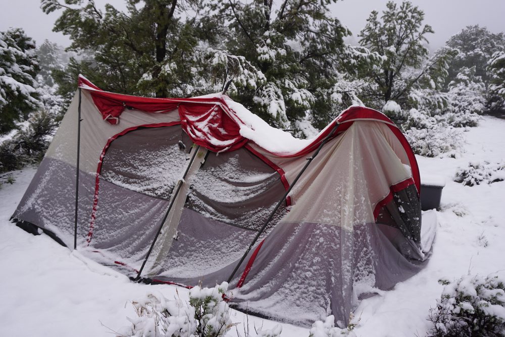 Photo from Silver State Expedition
