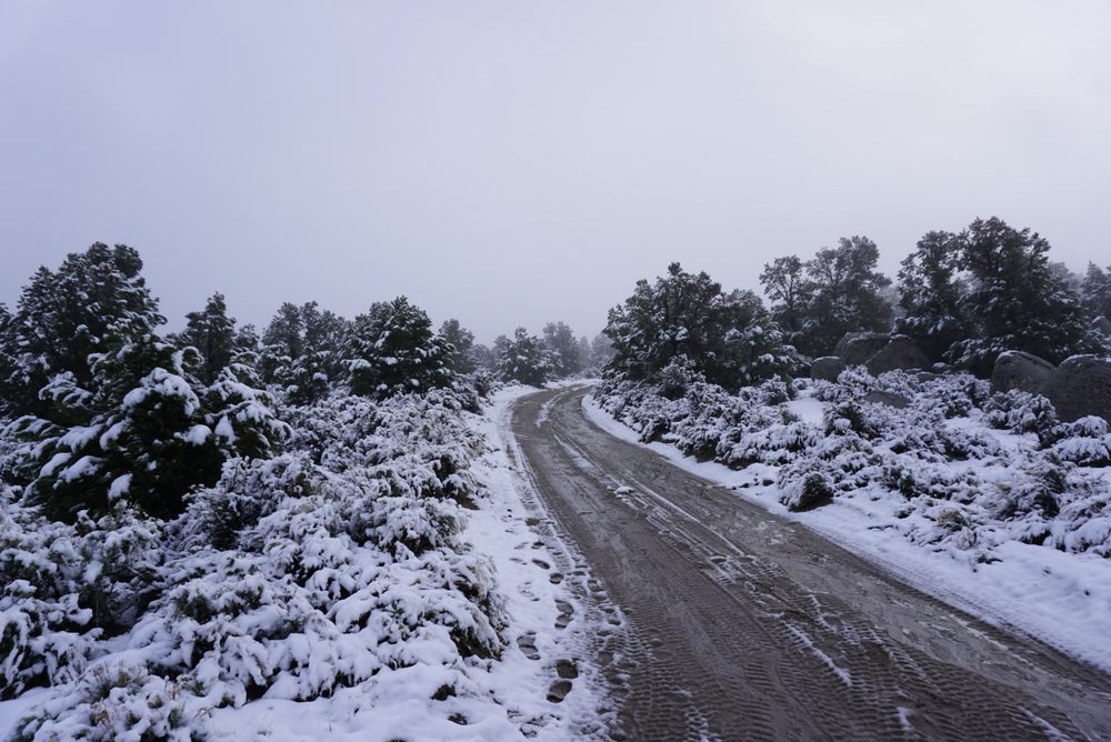 Photo from Silver State Expedition