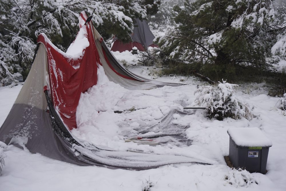 Photo from Silver State Expedition