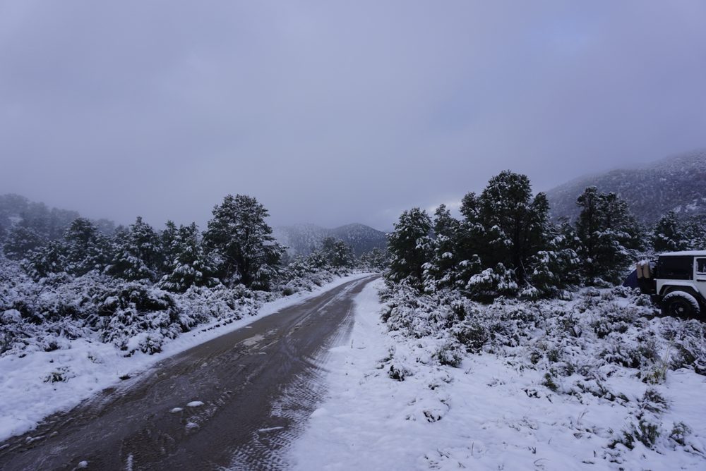 Photo from Silver State Expedition