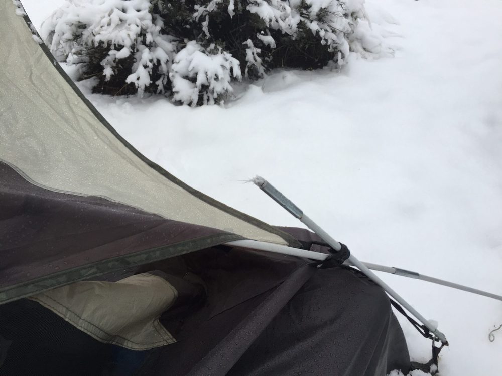 Photo from Silver State Expedition