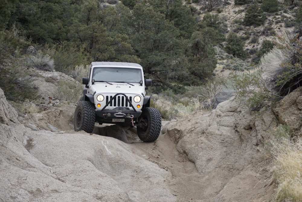 Photo from Silver State Expedition