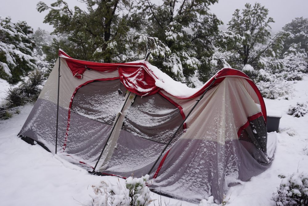 Photo from Silver State Expedition