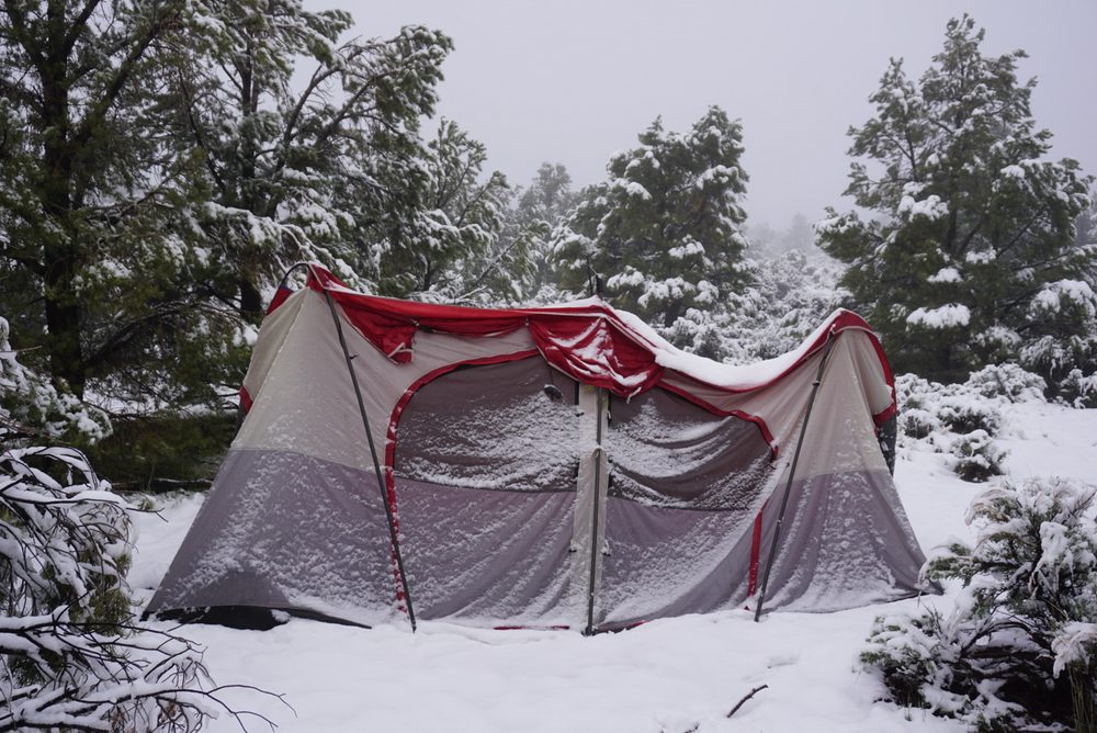 Photo from Silver State Expedition