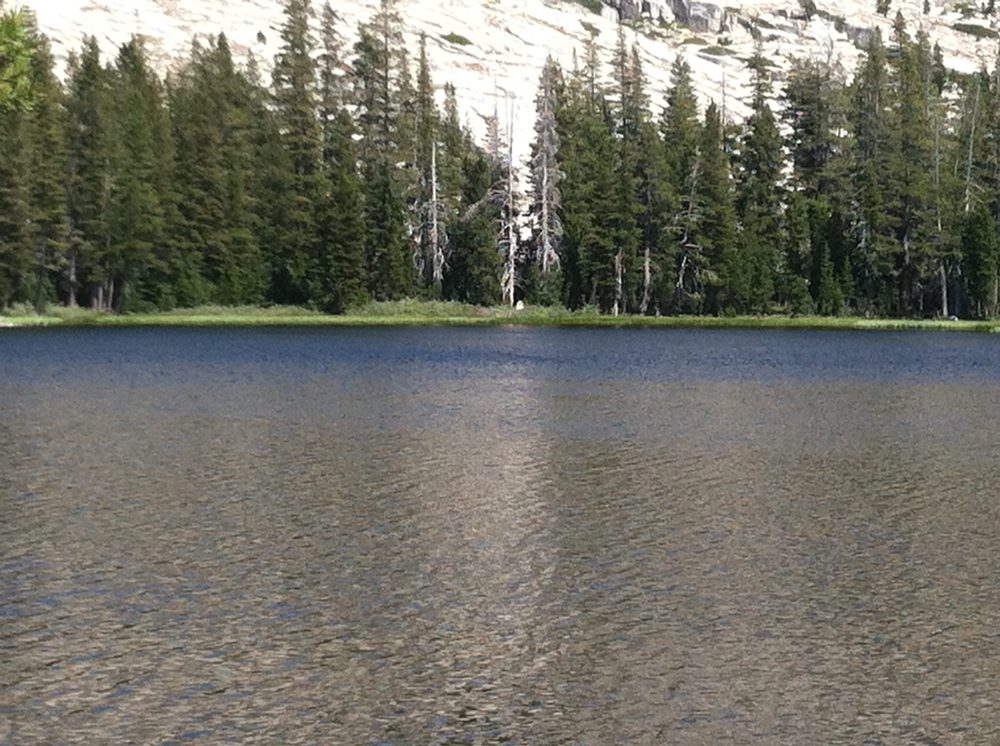 Photo from Barrett Lake Trail