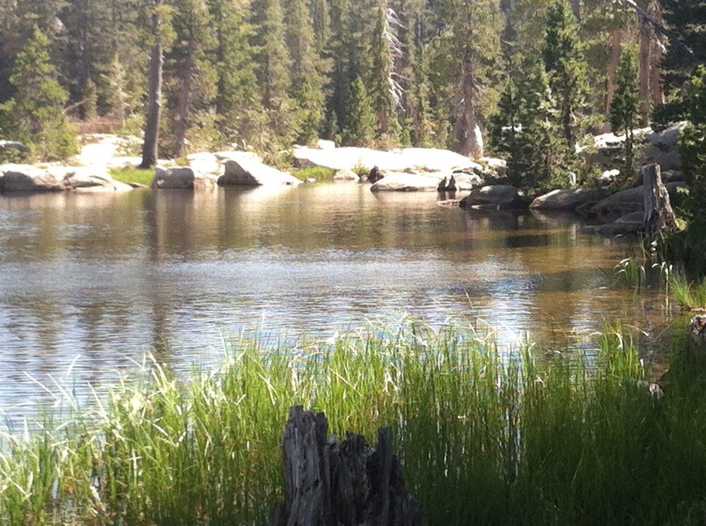 Photo from Barrett Lake Trail