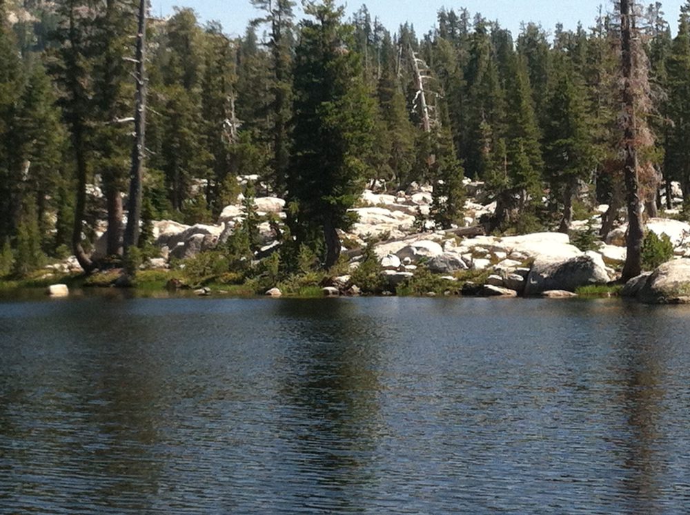 Photo from Barrett Lake Trail
