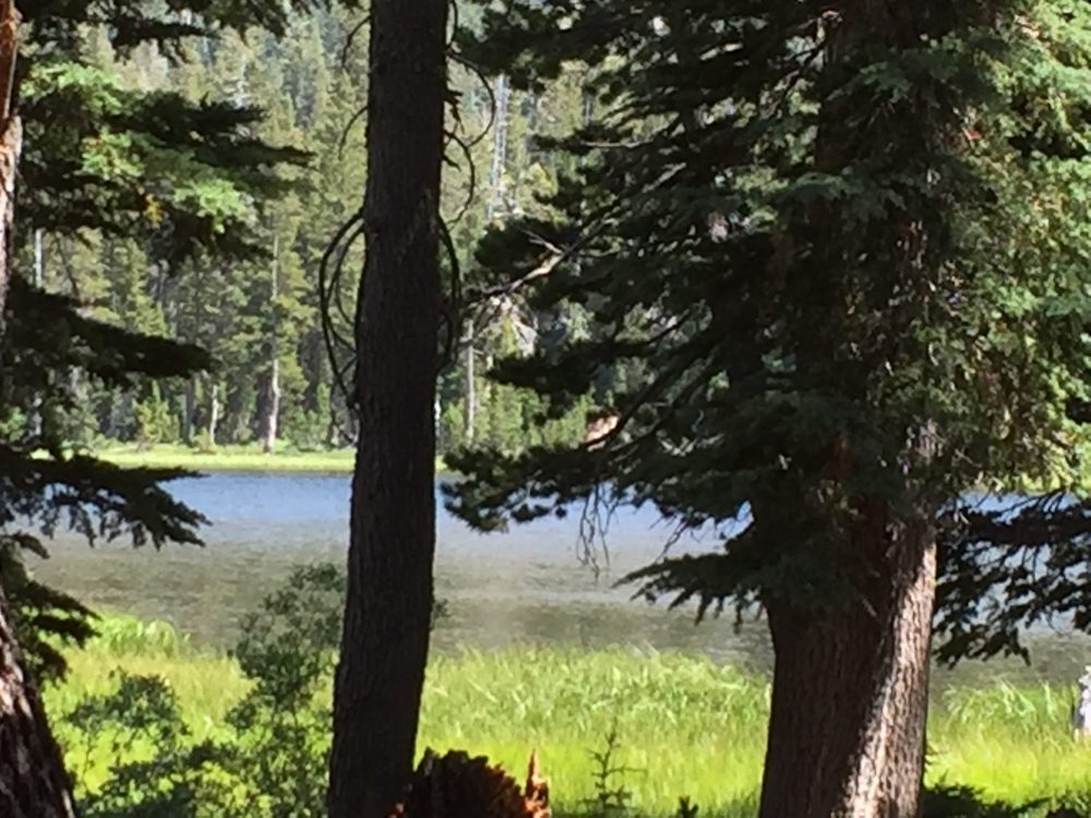 Photo from Barrett Lake Trail