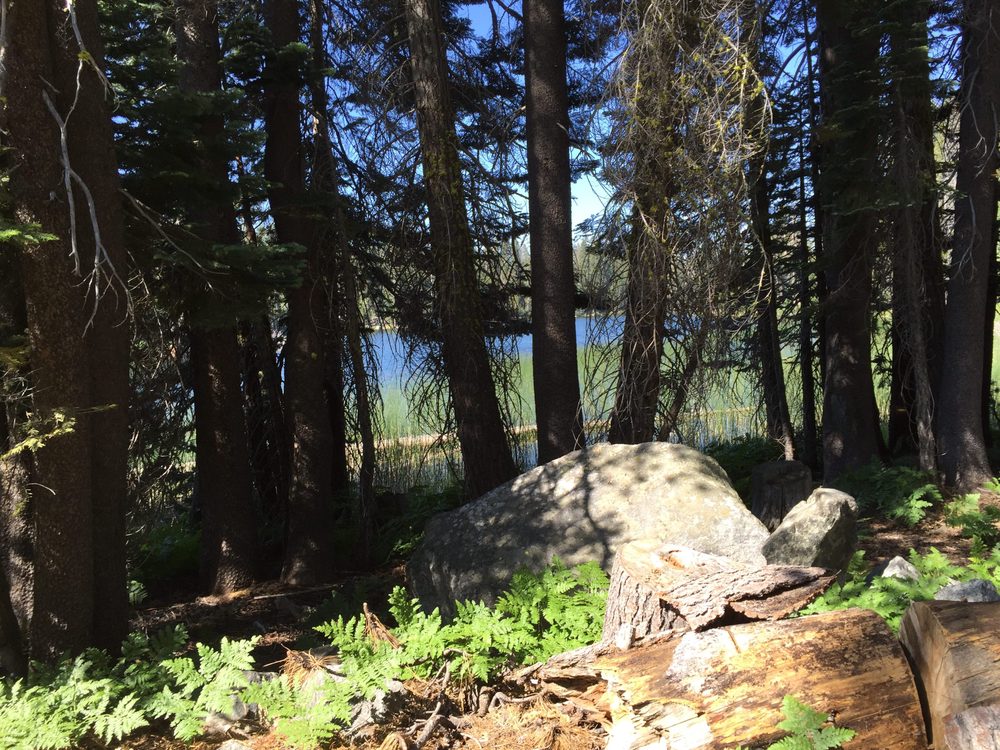 Photo from Barrett Lake Trail
