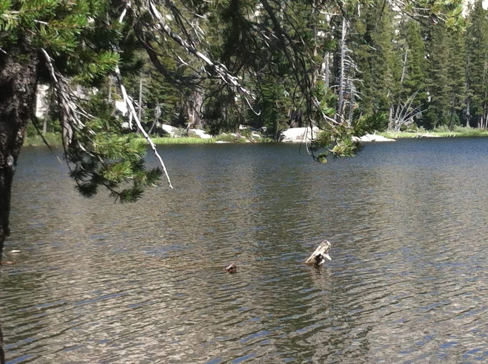 Photo from Barrett Lake Trail