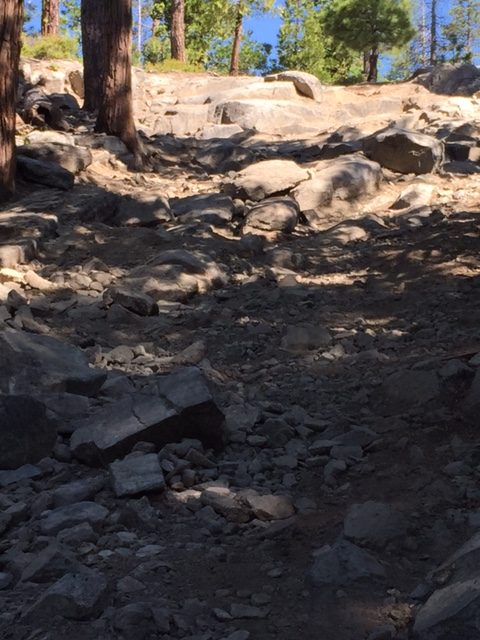 Photo from Fordyce Trail