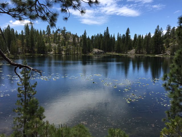 Photo from Fordyce Trail