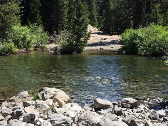 Photo from Fordyce Trail