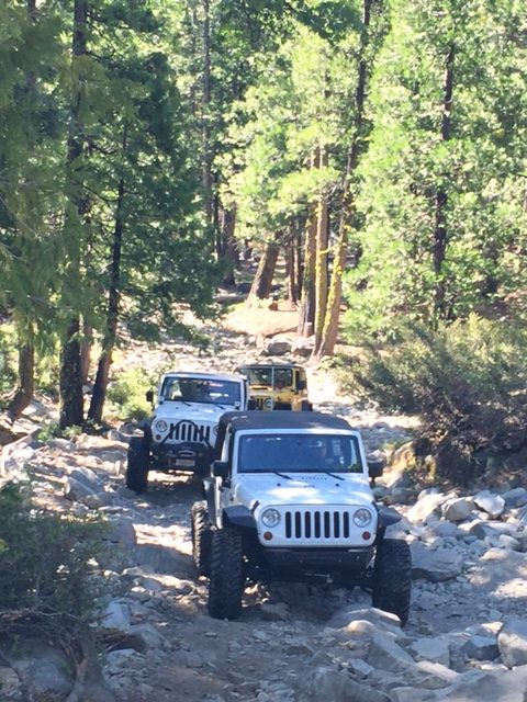 Photo from Fordyce Trail