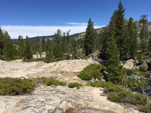 Photo from Fordyce Trail