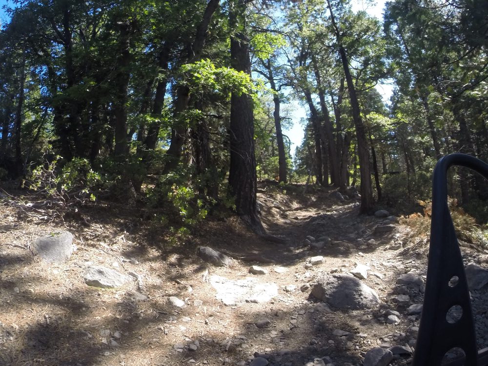 DCIM105GOPRO
