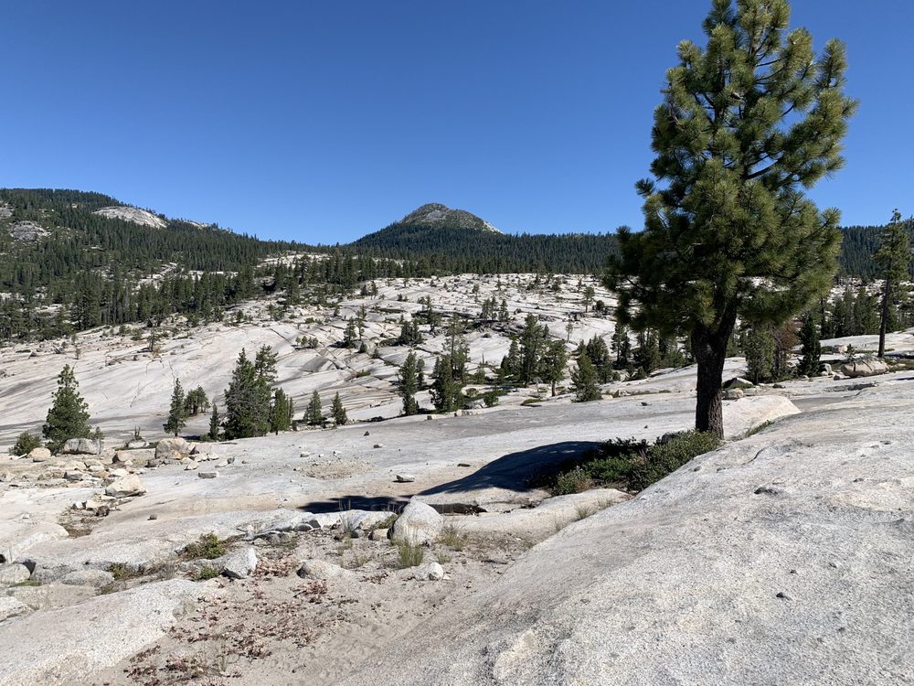 Photo from Loon Lake to Wentworth Springs