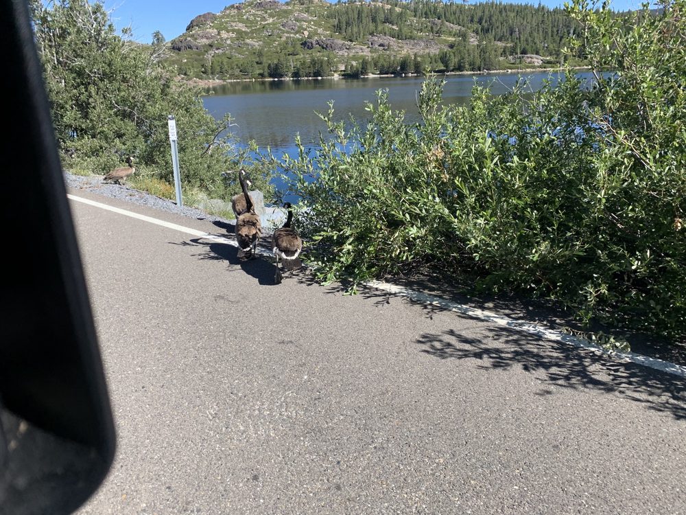 Photo from Loon Lake to Wentworth Springs