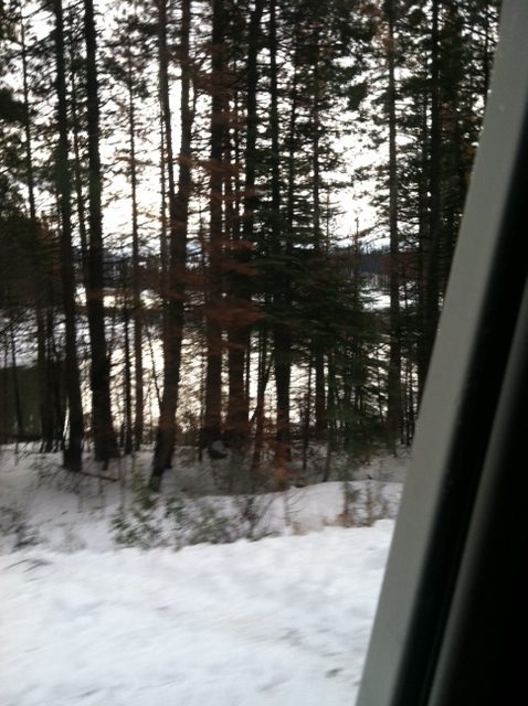 image-2