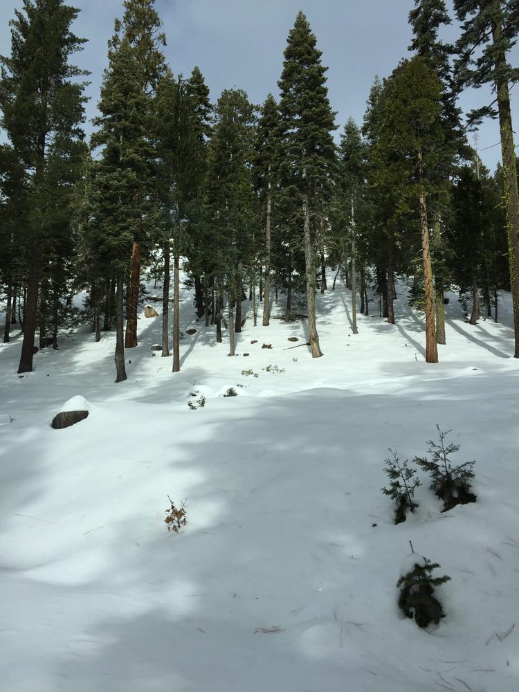 UIMG_3492