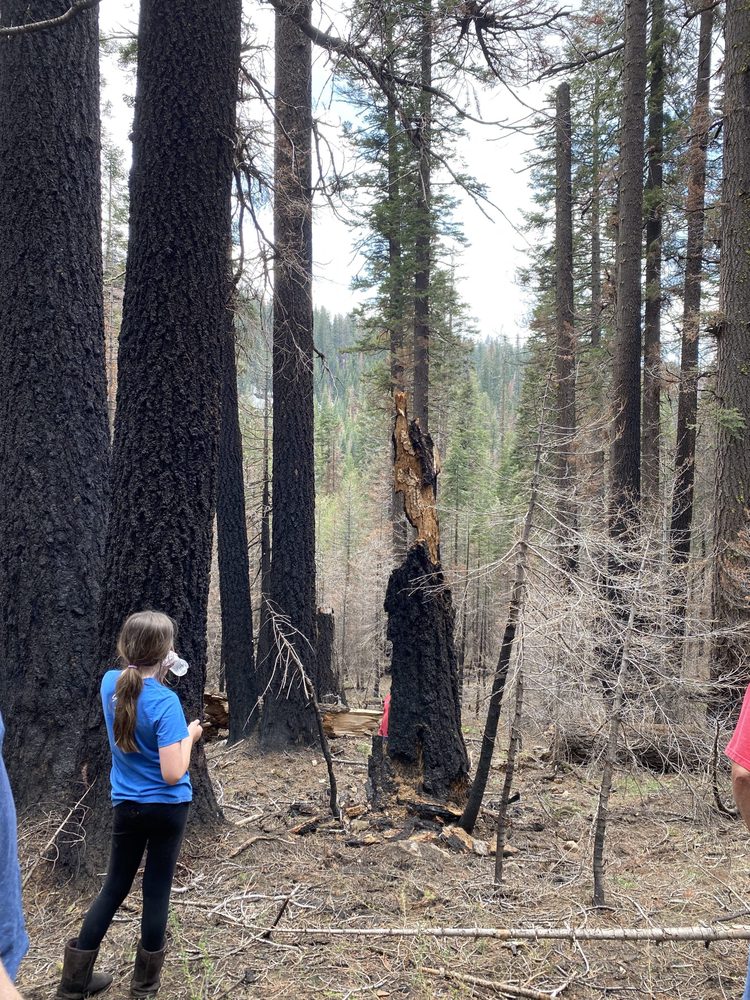 Photo from Strawberry Trail