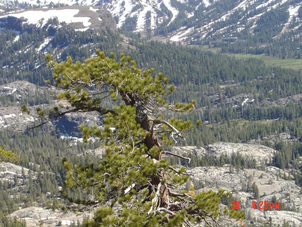Photo from Strawberry Trail