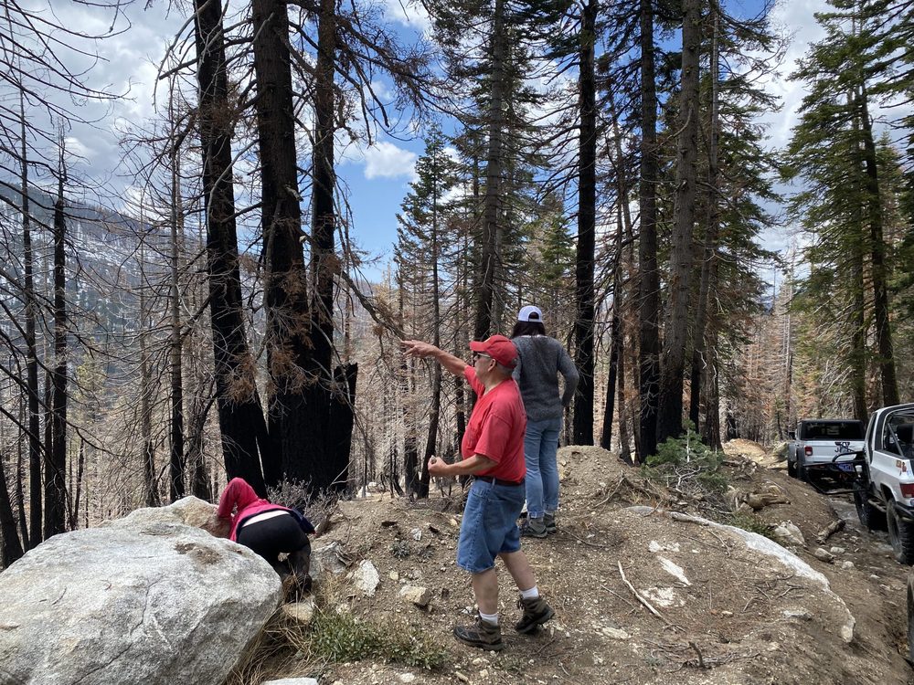 Photo from Strawberry Trail