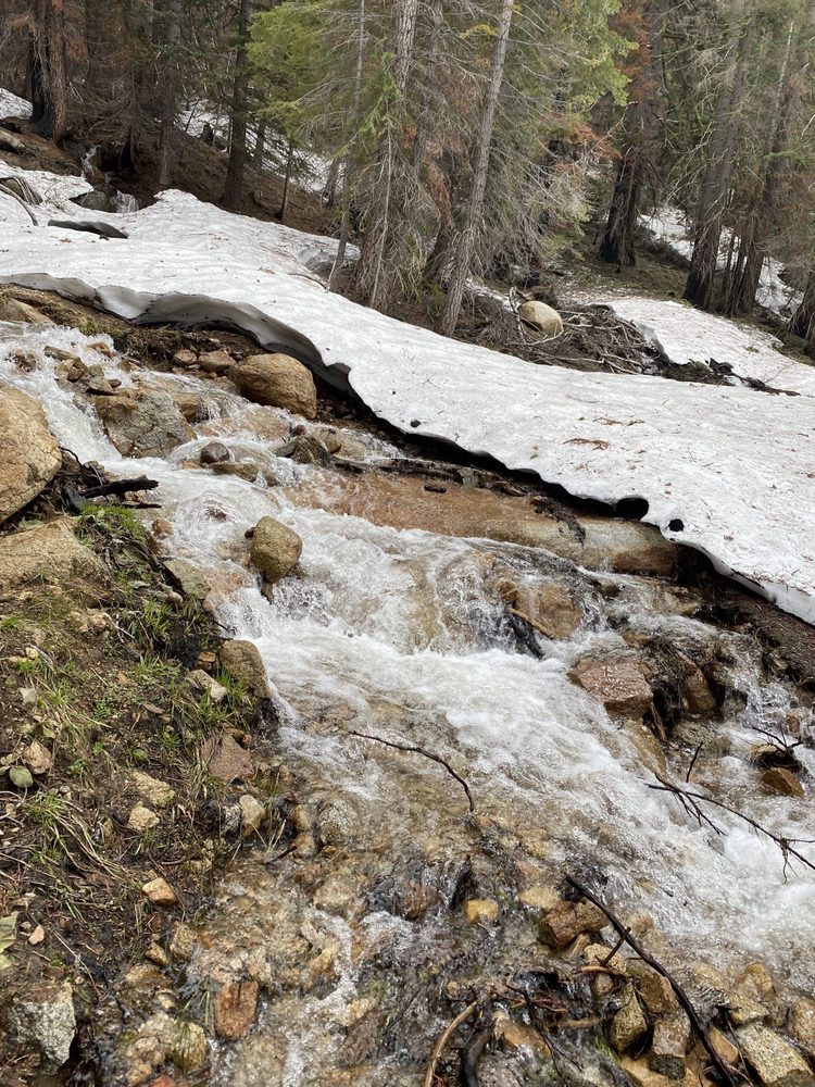 Photo from Strawberry Trail