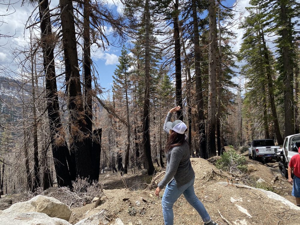 Photo from Strawberry Trail
