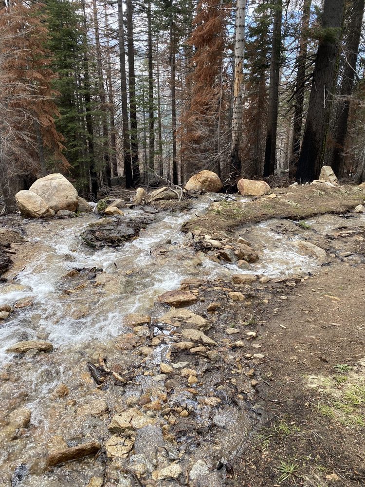 Photo from Strawberry Trail