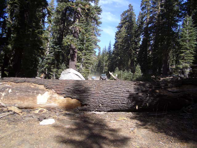 imgp5343001_38