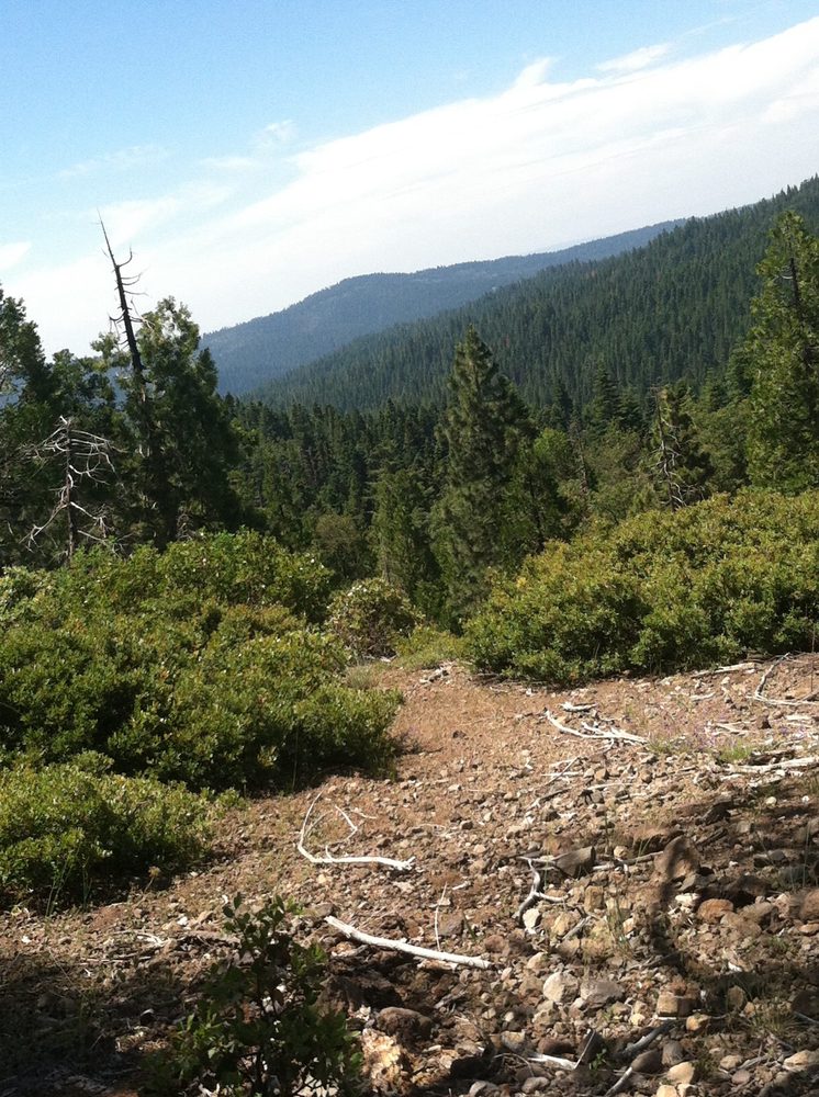 Photo from Plummer Ridge Trail