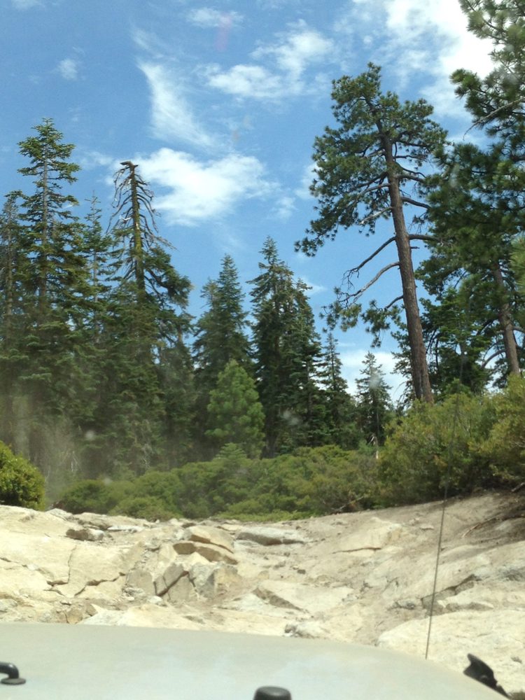 Photo from Plummer Ridge Trail